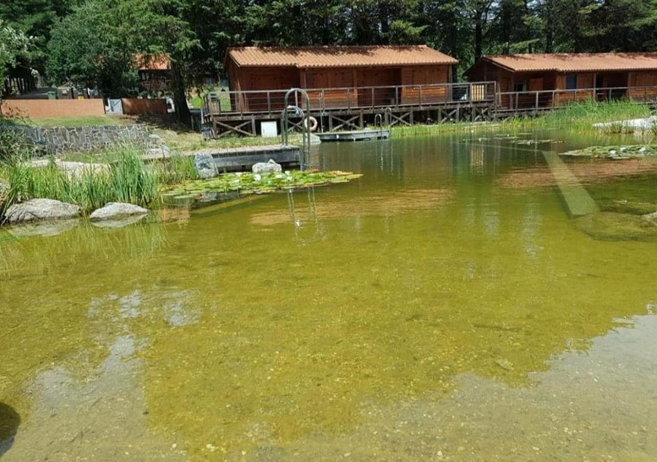 Parque Biologico De Vinhais Exterior foto